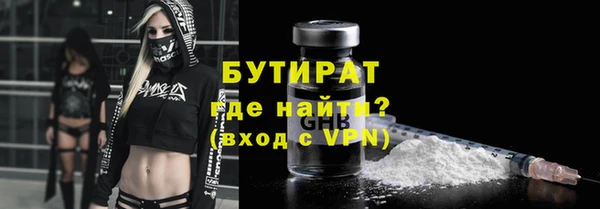 сатива Галич