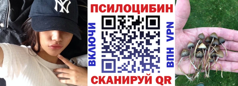 Галлюциногенные грибы Magic Shrooms  Иннополис 